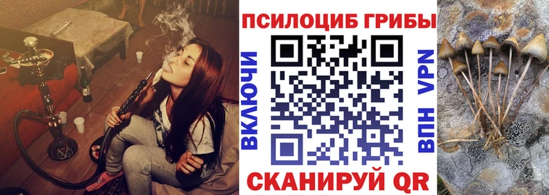 дарнет шоп  Цоци-Юрт  Галлюциногенные грибы ЛСД 
